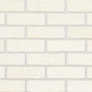 Arctic White
